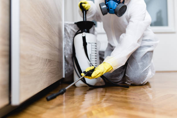 Best Local Pest Control Services  in Second Mesa, AZ
