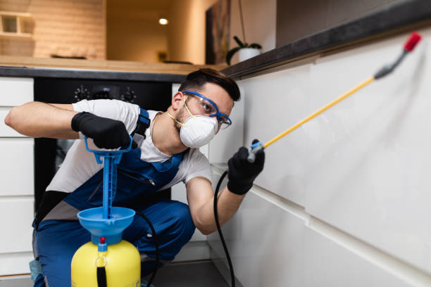 Best Pest Control Cost  in Second Mesa, AZ