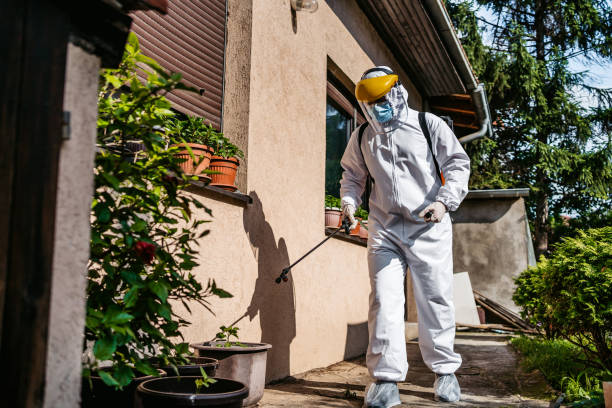 Best Rat Extermination Near Me  in Second Mesa, AZ