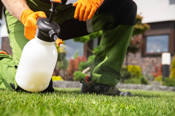 Best Mosquito Control Services  in Second Mesa, AZ