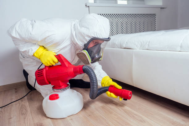 Trusted Second Mesa, AZ Pest Control Experts