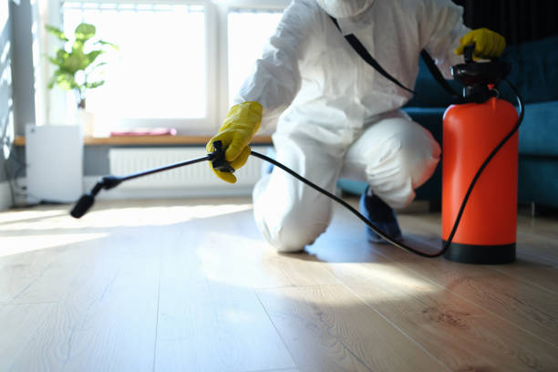 Best Pest Prevention Services  in Second Mesa, AZ