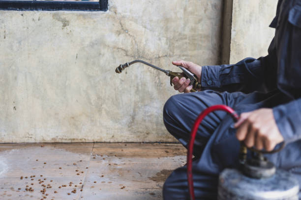 Best Residential Pest Control  in Second Mesa, AZ